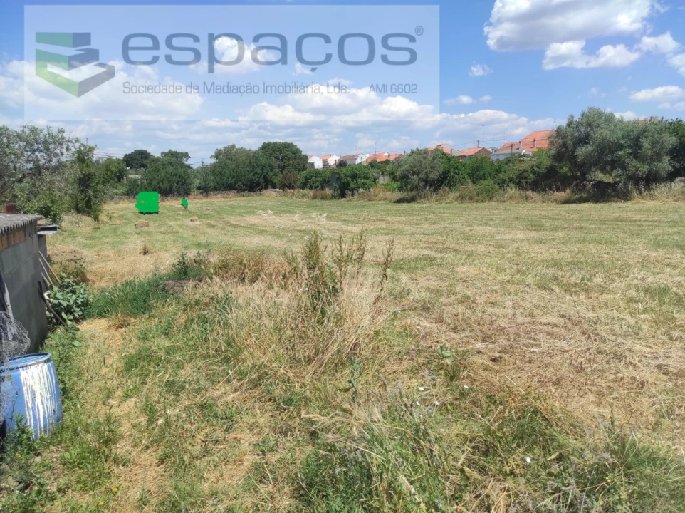 Quinta para Venda em Escalos de Baixo e Mata Foto 9