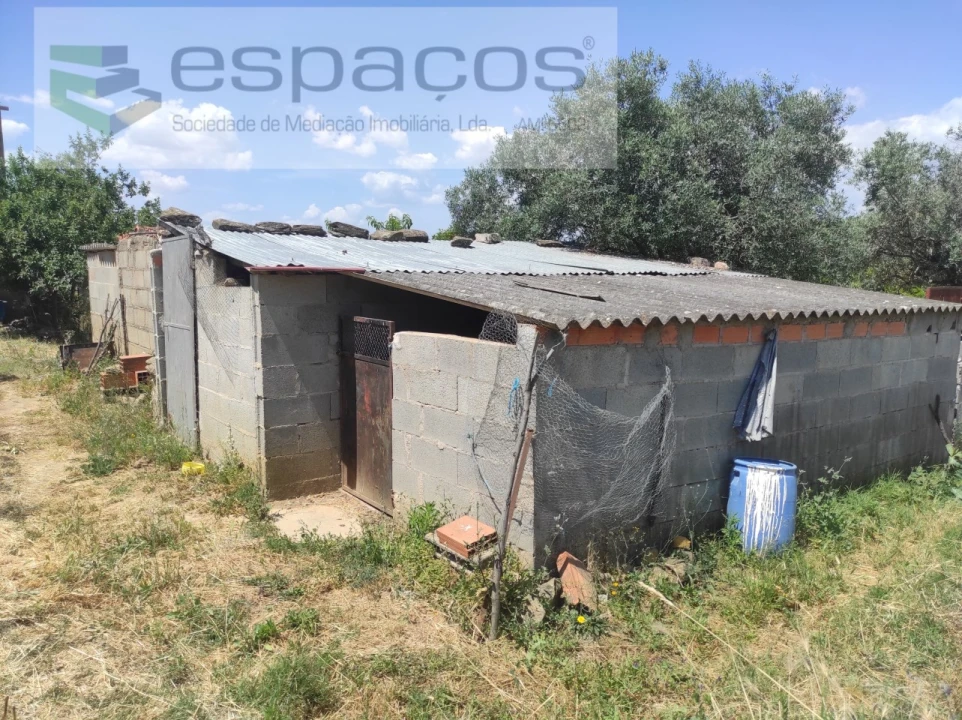 Quinta para Venda em Escalos de Baixo e Mata Foto 10