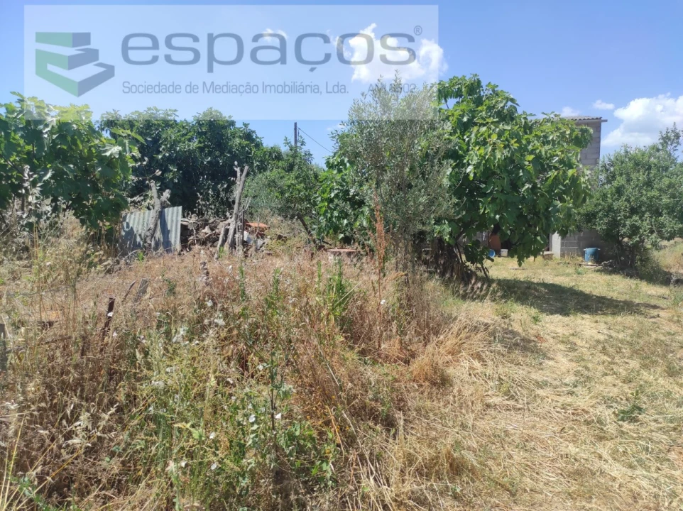 Quinta para Venda em Escalos de Baixo e Mata Foto 11