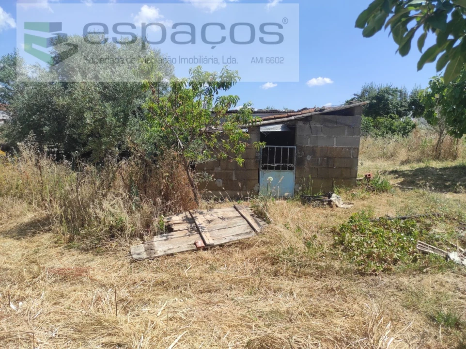 Quinta para Venda em Escalos de Baixo e Mata Foto 18