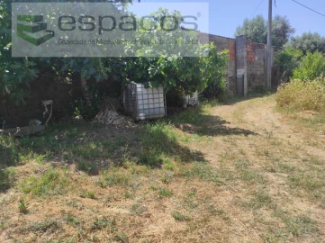 Quinta para Venda em Escalos de Baixo e Mata