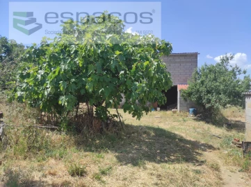 Quinta para Venda em Escalos de Baixo e Mata