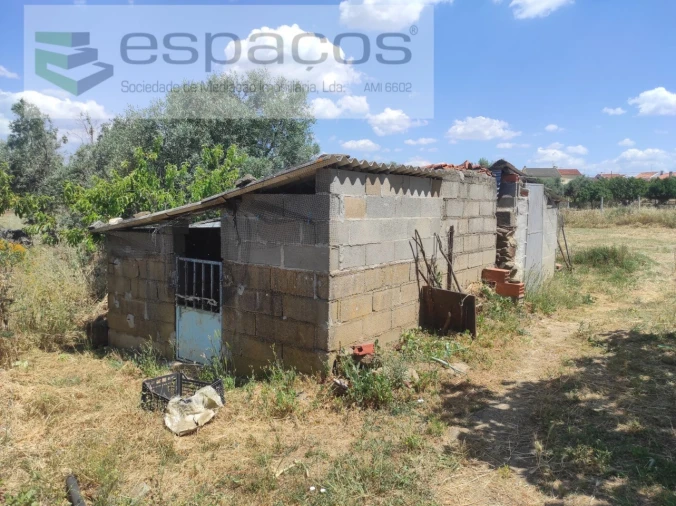 Quinta para Venda em Escalos de Baixo e Mata Foto 5