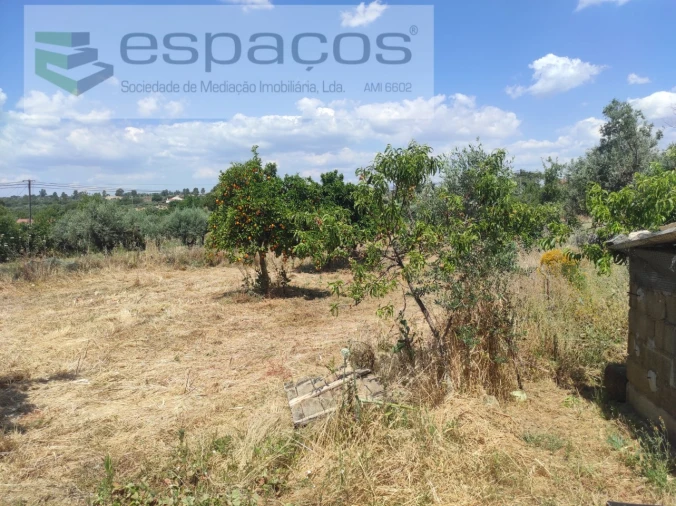Quinta para Venda em Escalos de Baixo e Mata Foto 6