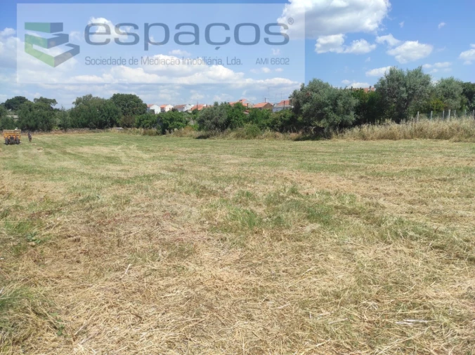 Quinta para Venda em Escalos de Baixo e Mata Foto 12