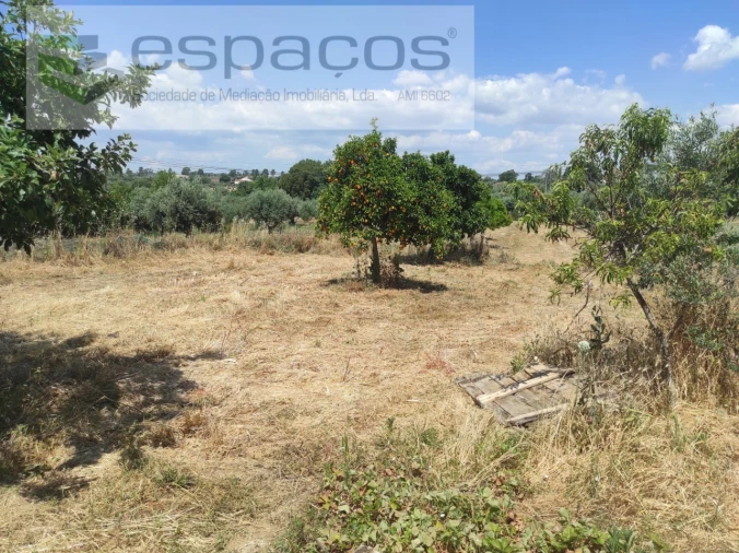 Quinta para Venda em Escalos de Baixo e Mata Foto 13
