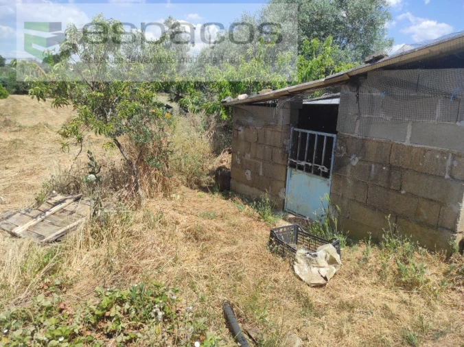 Quinta para Venda em Escalos de Baixo e Mata Foto 14