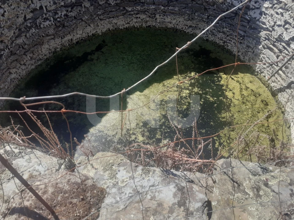 Terreno Agricola ou Rústico para Venda em Escalos de Baixo e Mata Foto 6