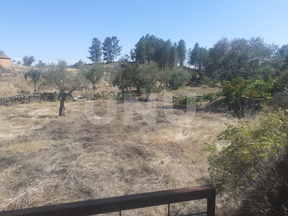 Terreno Agricola ou Rústico para Venda em Escalos de Baixo e Mata Foto 3