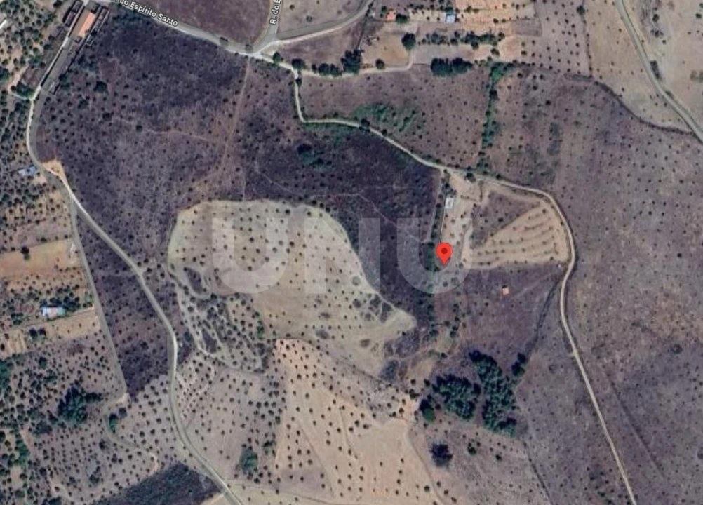 Terreno Agricola ou Rústico para Venda em Escalos de Baixo e Mata Foto 16