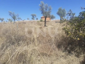Terreno Agricola ou Rústico para Venda em Escalos de Baixo e Mata