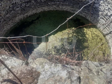Terreno Agricola ou Rústico para Venda em Escalos de Baixo e Mata