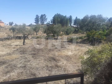 Terreno Agricola ou Rústico para Venda em Escalos de Baixo e Mata