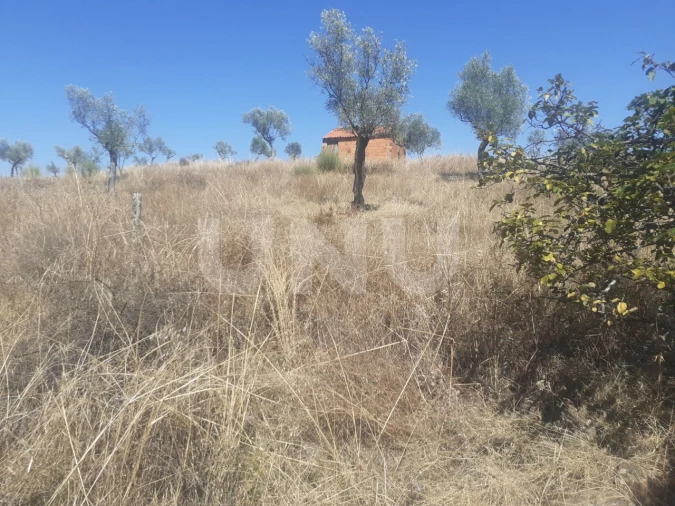 Terreno Agricola ou Rústico para Venda em Escalos de Baixo e Mata Foto 9