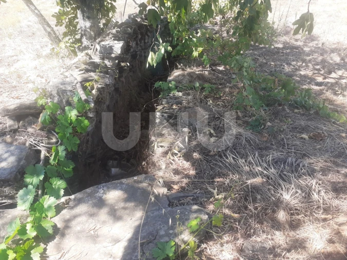 Terreno Agricola ou Rústico para Venda em Escalos de Baixo e Mata Foto 12