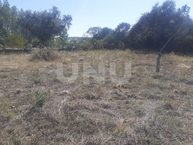 Terreno Agricola ou Rústico para Venda em Escalos de Baixo e Mata Foto 14