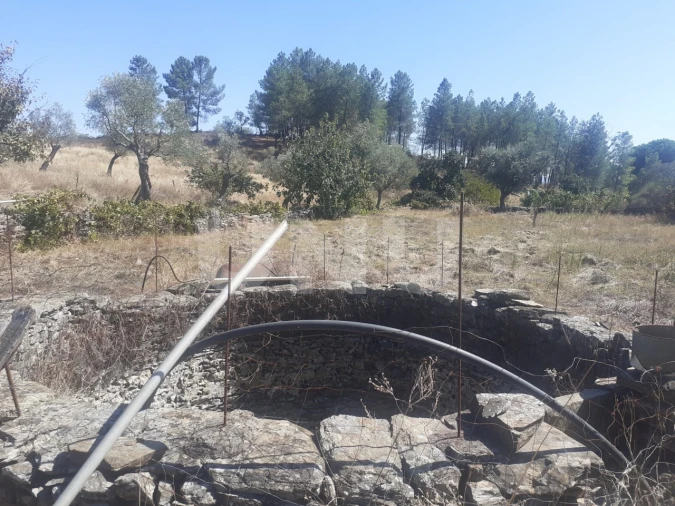 Terreno Agricola ou Rústico para Venda em Escalos de Baixo e Mata Foto 5