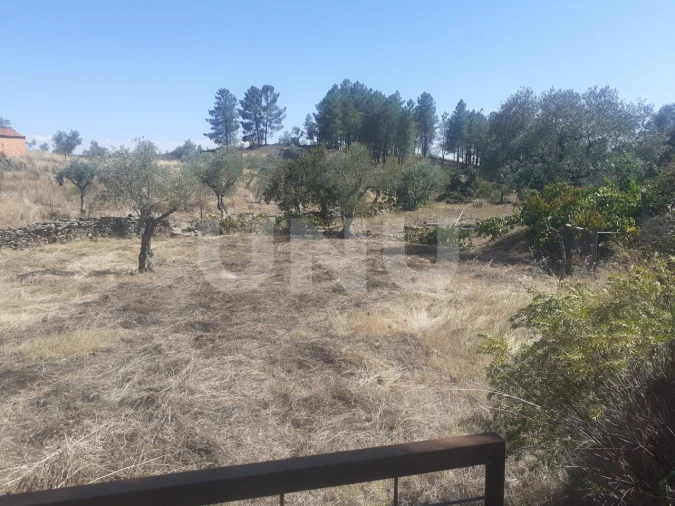 Terreno Agricola ou Rústico para Venda em Escalos de Baixo e Mata Foto 3