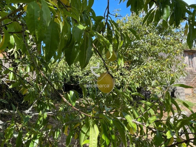 Moradia T2 para Venda em Romarigães Foto 33