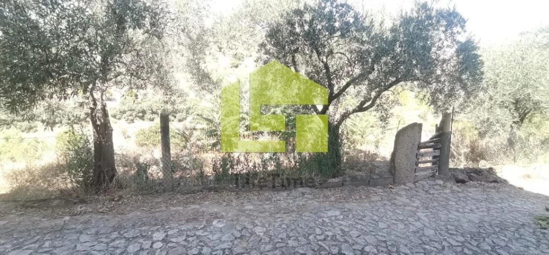 Moradia T4 para Venda em Longroiva Foto 51