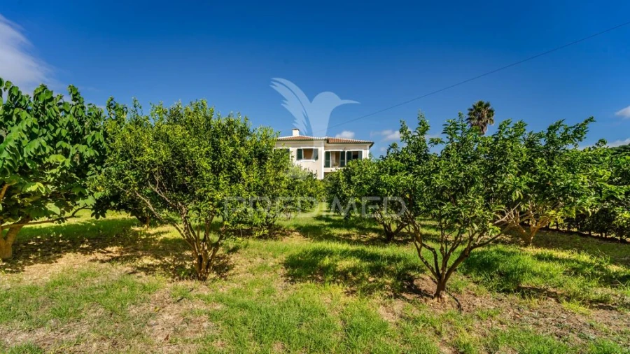 Moradia T3 para Venda em Angra (São Pedro) Foto 7