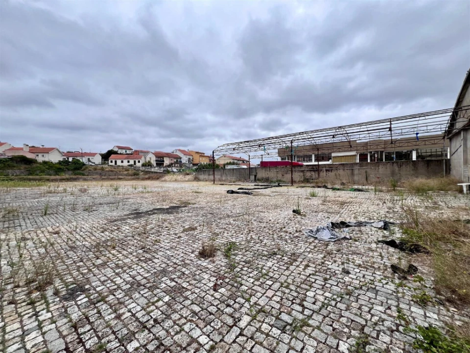Terreno para Arrendamento em São Martinho do Bispo e Ribeira de Frades Foto 6