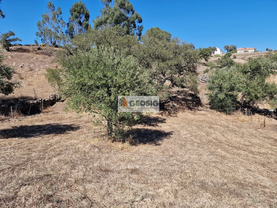 Moradia T3 para Venda em Santa Cruz Foto 6