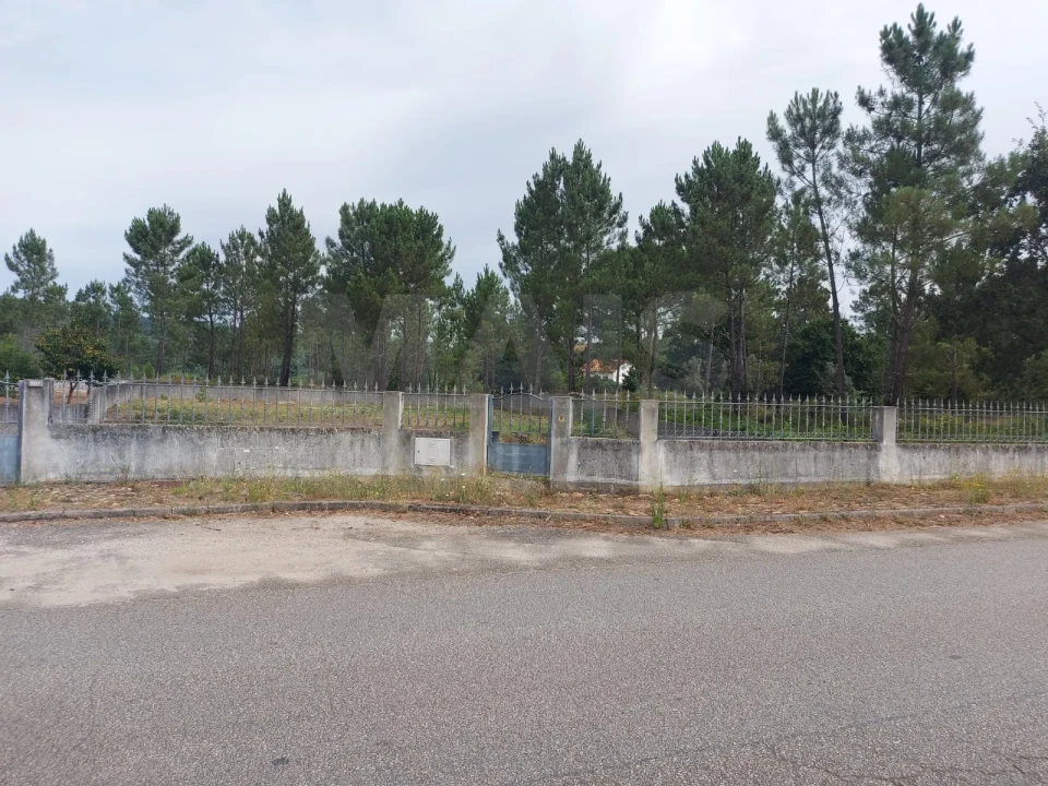 Terreno para Venda em Côja e Barril de Alva Foto 1