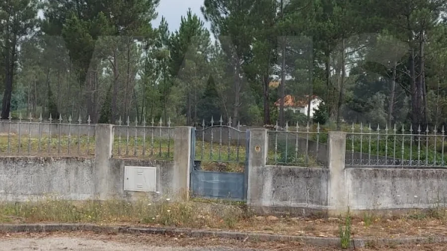 Terreno para Venda em Côja e Barril de Alva