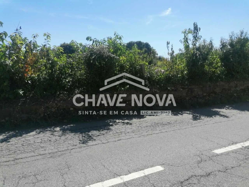 Terreno P/ Prédio para Venda em Esmoriz Foto 3
