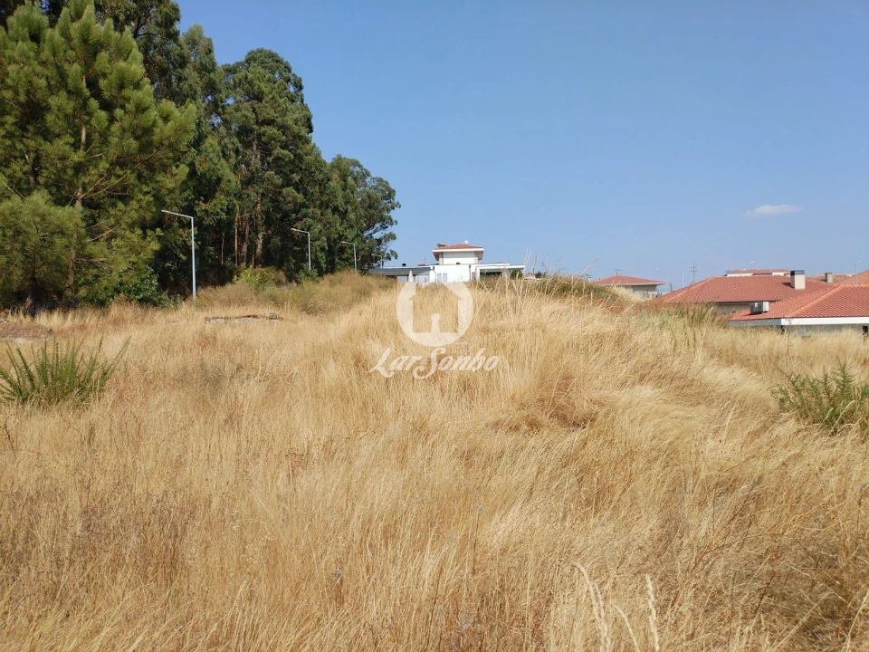 Terreno P/ Prédio para Venda em Arões (São Romão) Foto 2