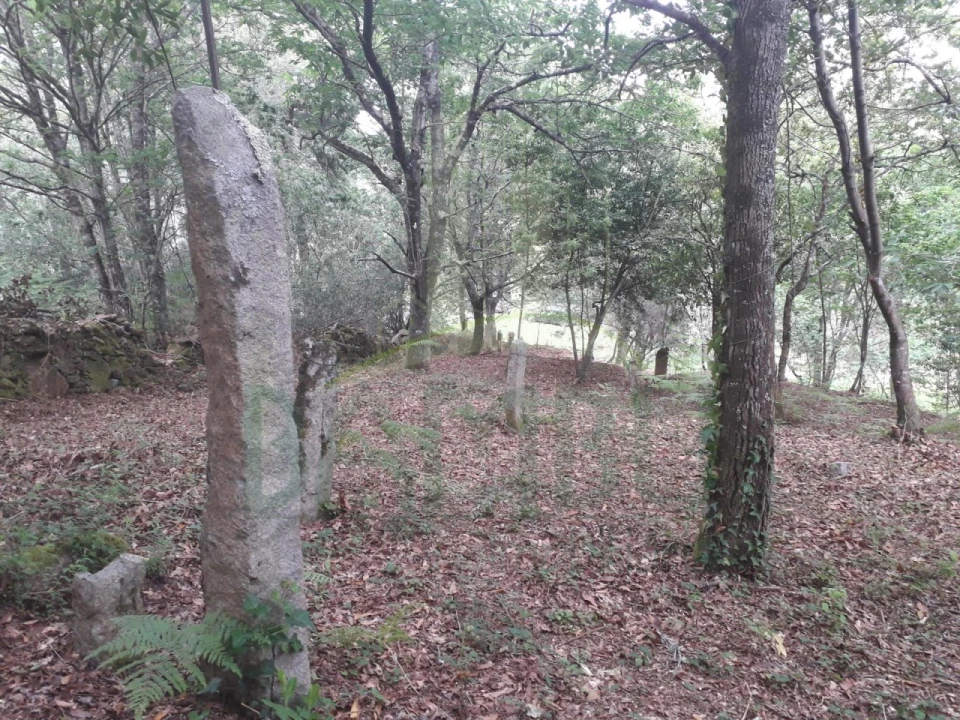 Terreno para Venda em Vilar de Mouros Foto 5