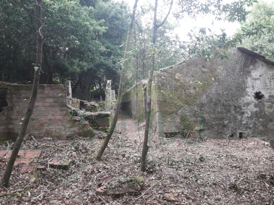 Terreno para Venda em Vilar de Mouros Foto 8