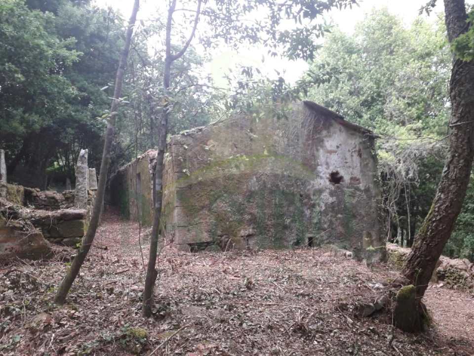 Terreno para Venda em Vilar de Mouros Foto 10