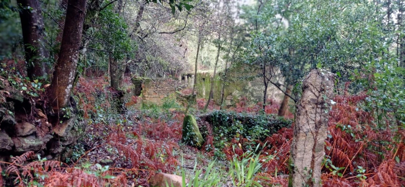 Terreno para Venda em Vilar de Mouros Foto 17