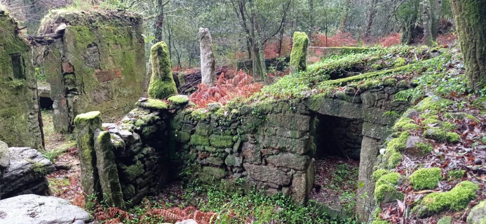 Terreno para Venda em Vilar de Mouros Foto 1