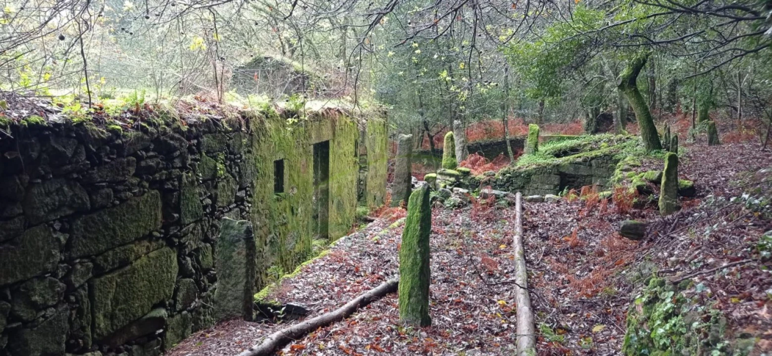 Terreno para Venda em Vilar de Mouros Foto 26
