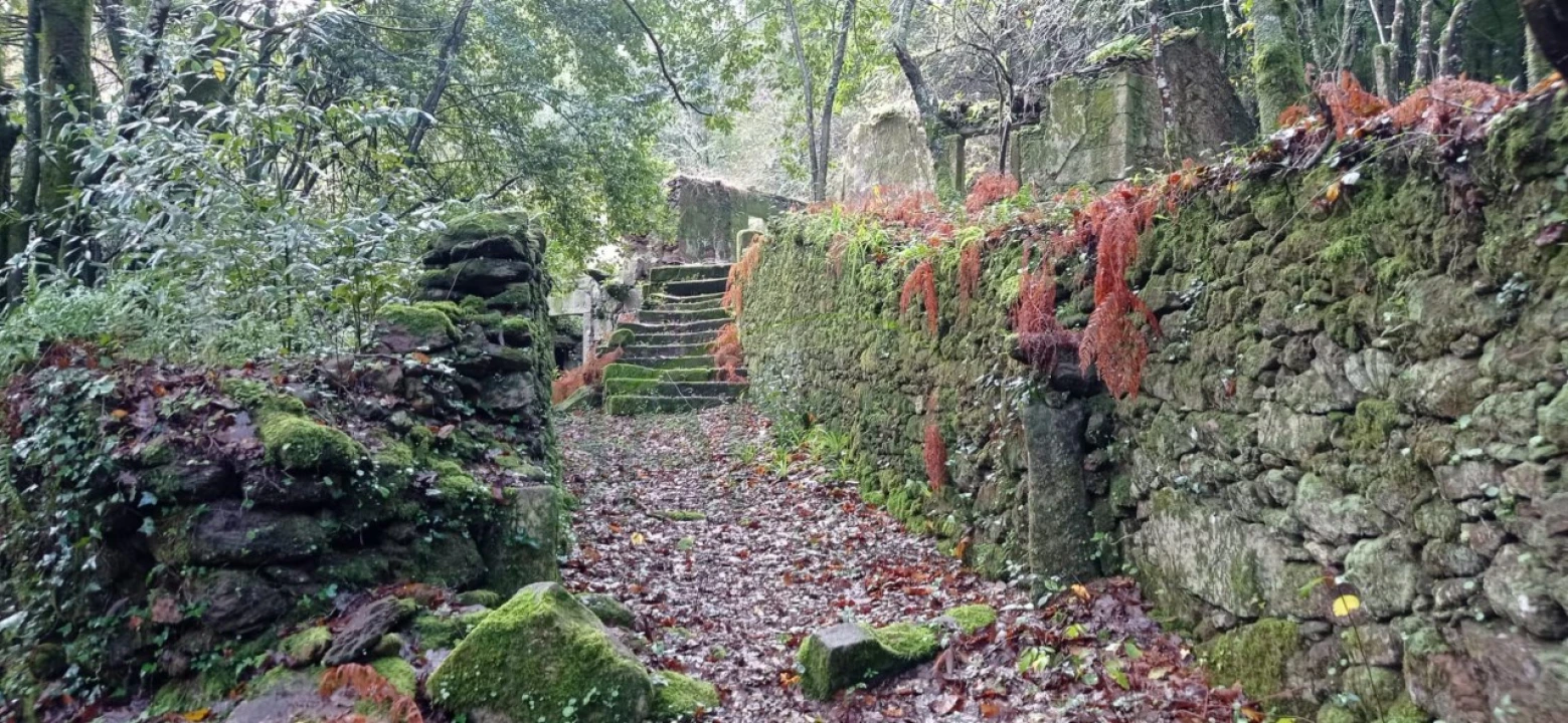 Terreno para Venda em Vilar de Mouros Foto 31