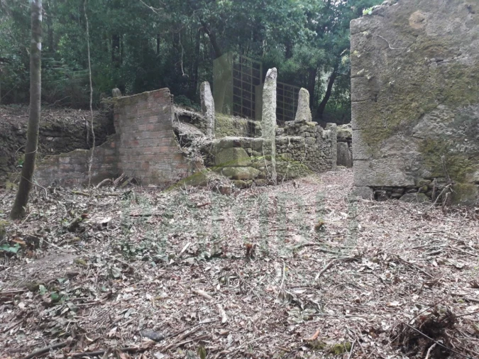Terreno para Venda em Vilar de Mouros Foto 9