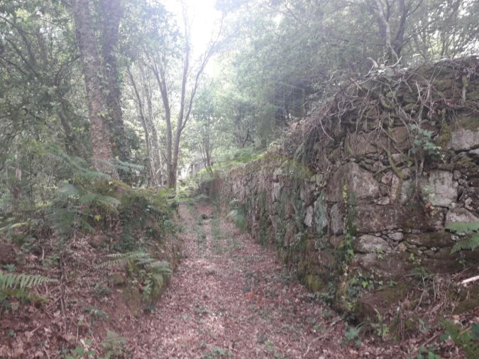 Terreno para Venda em Vilar de Mouros Foto 11