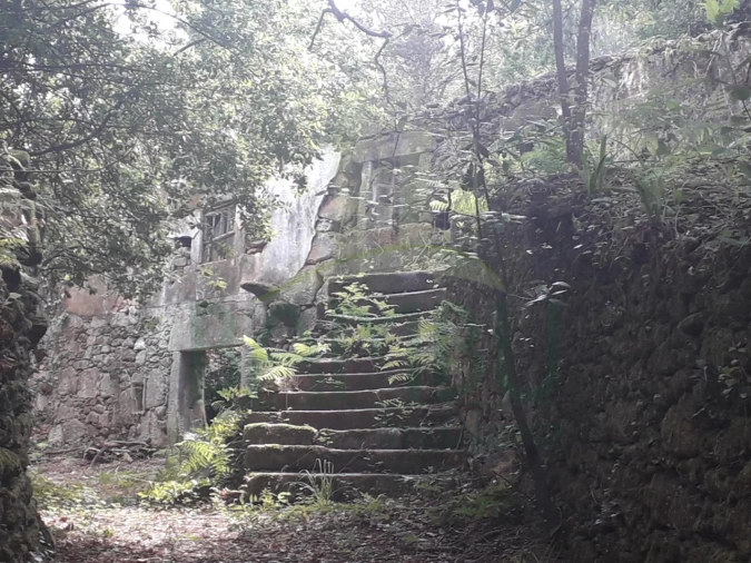 Terreno para Venda em Vilar de Mouros Foto 12