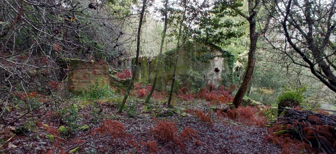 Terreno para Venda em Vilar de Mouros Foto 16