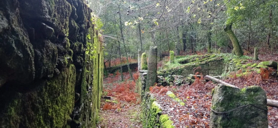 Terreno para Venda em Vilar de Mouros Foto 23