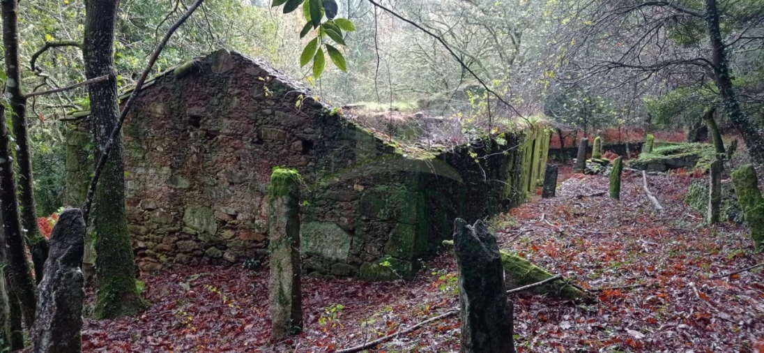 Terreno para Venda em Vilar de Mouros Foto 27
