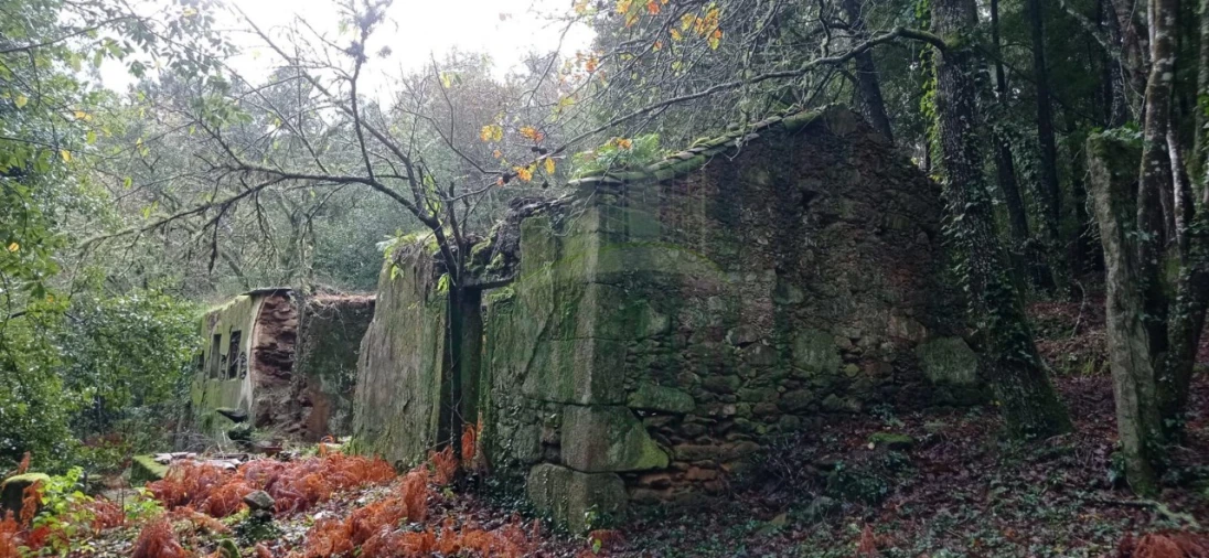 Terreno para Venda em Vilar de Mouros Foto 28