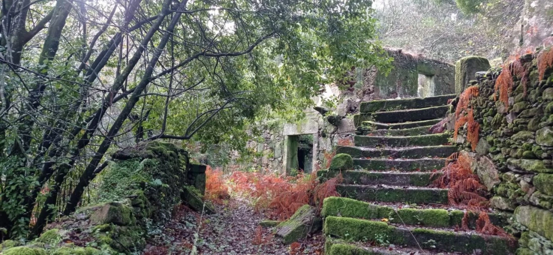 Terreno para Venda em Vilar de Mouros Foto 30