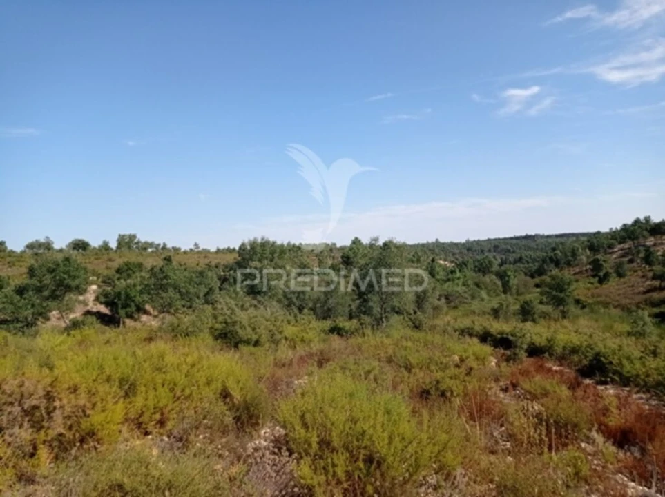 Quinta para Venda em Margem Foto 11