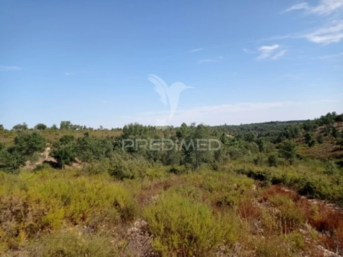 Quinta para Venda em Margem Foto 4