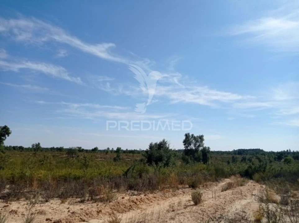 Quinta para Venda em Margem Foto 2