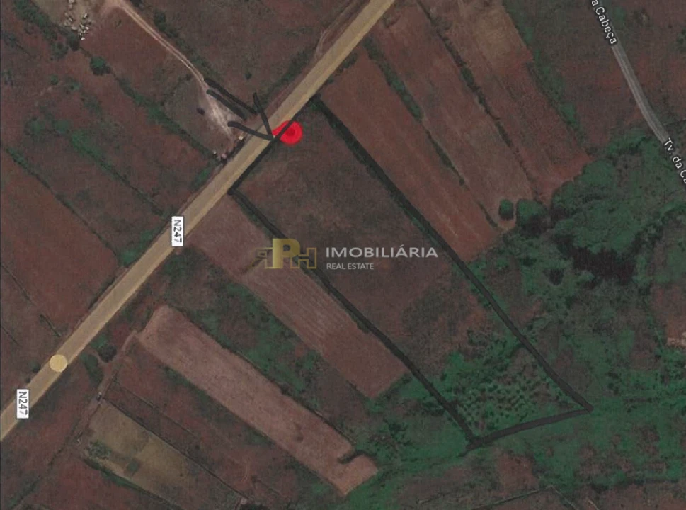 Terreno Agricola ou Rústico para Venda em Igreja Nova e Cheleiros Foto 15